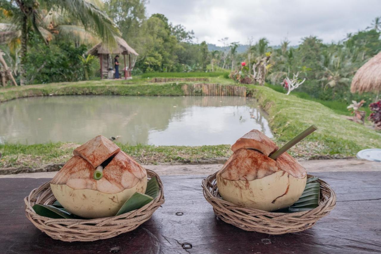 Galalima Glamping By Agata Meliling Exterior foto