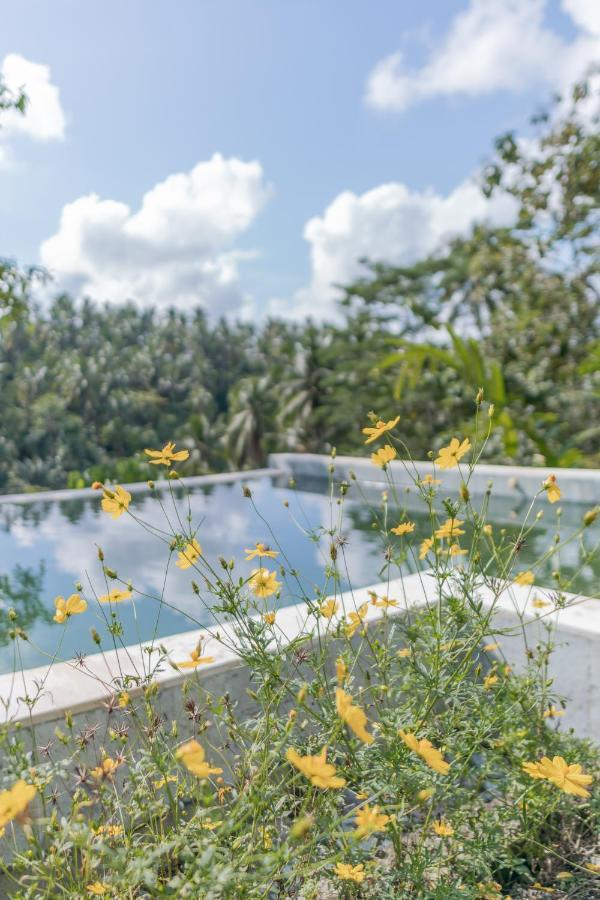 Galalima Glamping By Agata Meliling Exterior foto