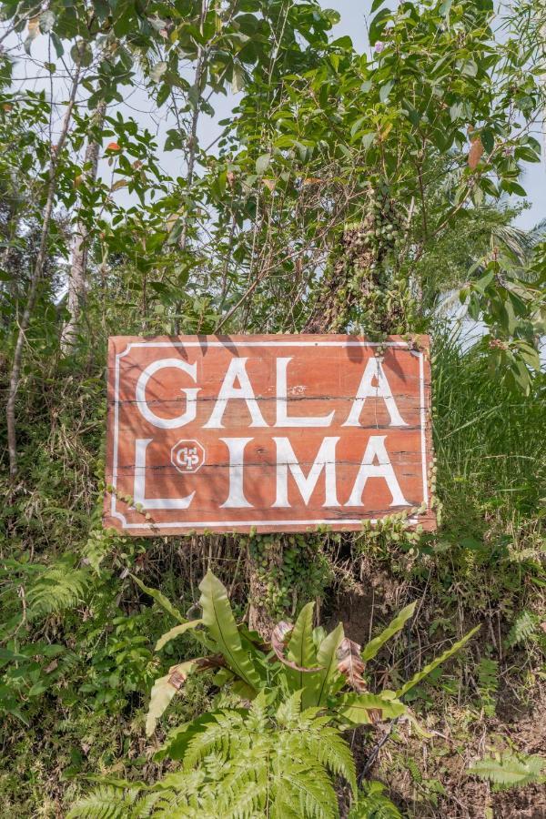 Galalima Glamping By Agata Meliling Exterior foto